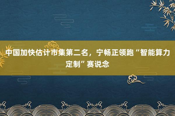 中国加快估计市集第二名，宁畅正领跑“智能算力定制”赛说念